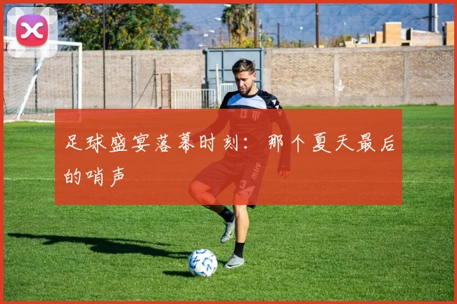 足球盛宴落幕时刻：那个夏天最后的哨声